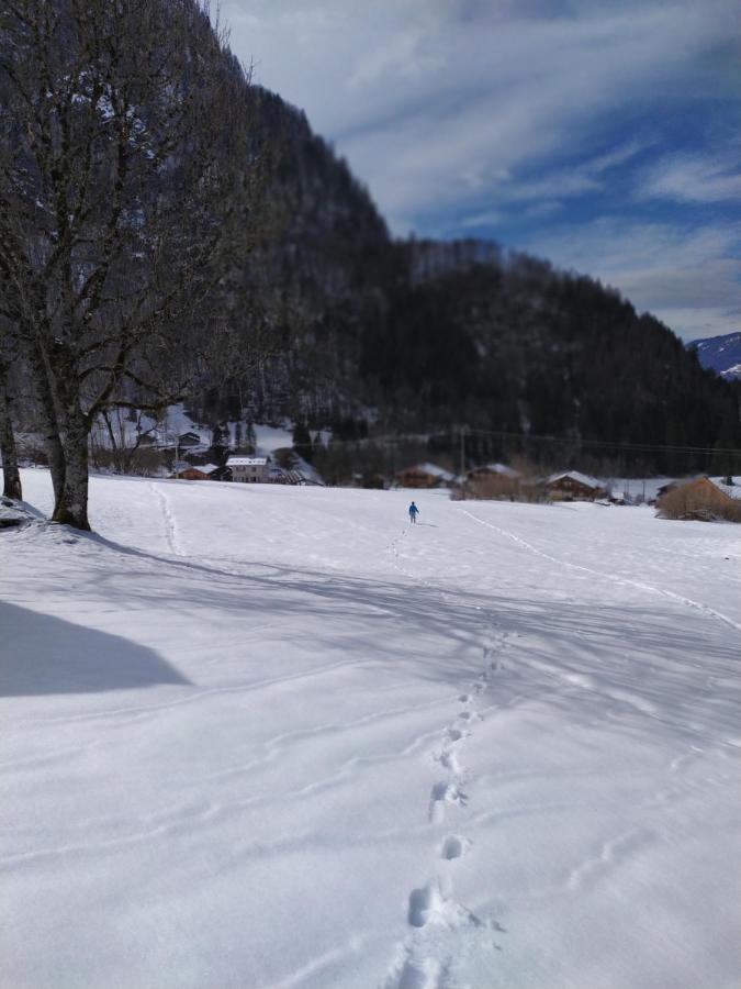 Villa Le Clair Logis Sixt Exterior foto